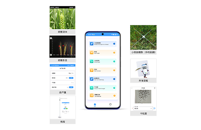 江苏小麦表型检测仪IN-XM04